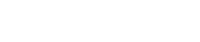 Network Acoustics logo